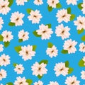 Spring cherry blossoms.ÃÂ Seamless pattern with JapaneseÃÂ sakura. Pink flowers on blue background. RomanticÃÂ Vector illustration Royalty Free Stock Photo